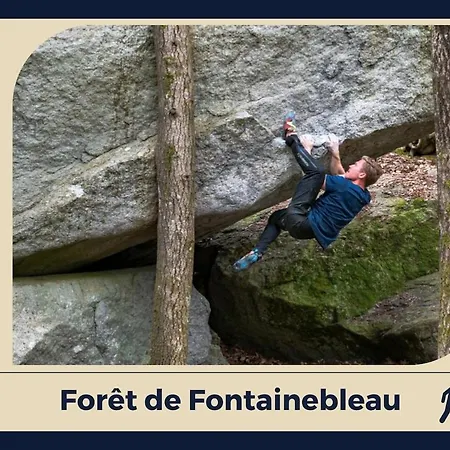 La Bellifontaine * 퐁텐블로